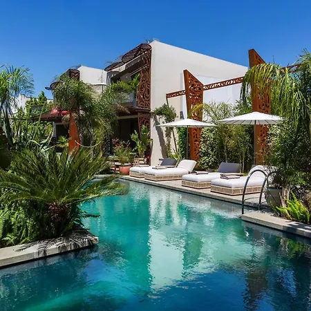 Hotel Mohala Boutique Diso